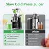 imageAeitto Cold Press Juicer Juicer Machines with Large Feed Chute Large Capacity Slow Masticating Juicer for Fruits and Vegetables Self Feeding for Juice ExtractorBPAFree BlackBlack