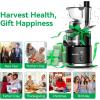imageAeitto Cold Press Juicer Juicer Machines with Large Feed Chute Large Capacity Slow Masticating Juicer for Fruits and Vegetables Self Feeding for Juice ExtractorBPAFree BlackBlack