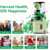 imageAeitto Cold Press JuicerMasticating Juicer Machines with Wide ampamp Dual Feed Chute for Vegetables and Fruits Self Feeding for Juice Extractor Large Capacity High Juice Yield Easy to Clean