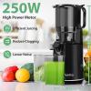 imageAeitto Juicer Machines Cold Press Juicer 53 Large Feed Chute for Whole Fruits ampamp Vegetables Slow Masticating Juicer Easy to Clean High Juice Yield Black