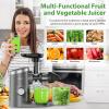 imageAeitto Slow Masticating Juicer Cold Press Jucier Machine with Soft ampamp Hard Modes Quiet Motor Juicer Machines Vegetable and Fruit Juice Extractor machine Easy to Clean with Brush GreyGrey