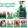 imageCold Press JuicerAeitto Slow Masticating Juicer with Wide ampamp Dual Feed Chute for Vegetables and Fruits High Juice Yield Self Feeding for Juice Extractor BPAFree Dark Green